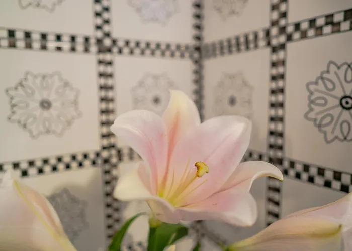 Casa Lalu - Rustic With Stunning Views Lägenhet