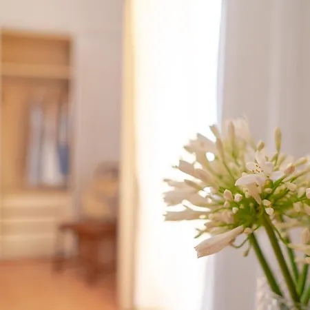 Casa Lalu - Rustic With Stunning Views Apartament