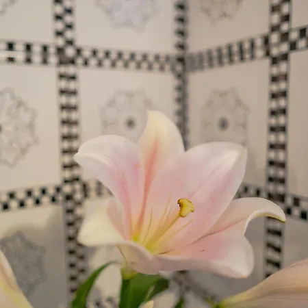 Casa Lalu - Rustic With Stunning Views Apartament